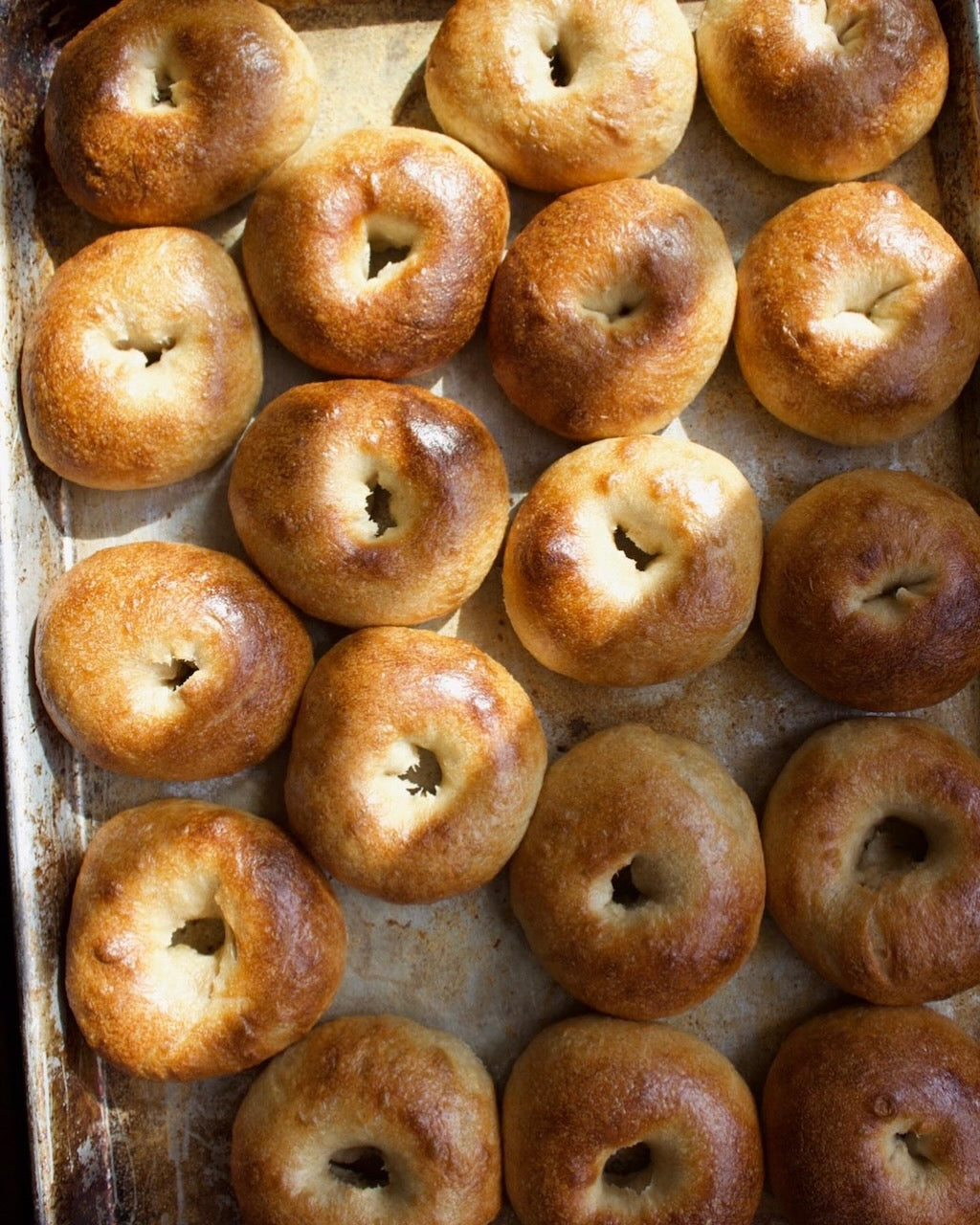 Homemade Egg Bagels » the practical kitchen