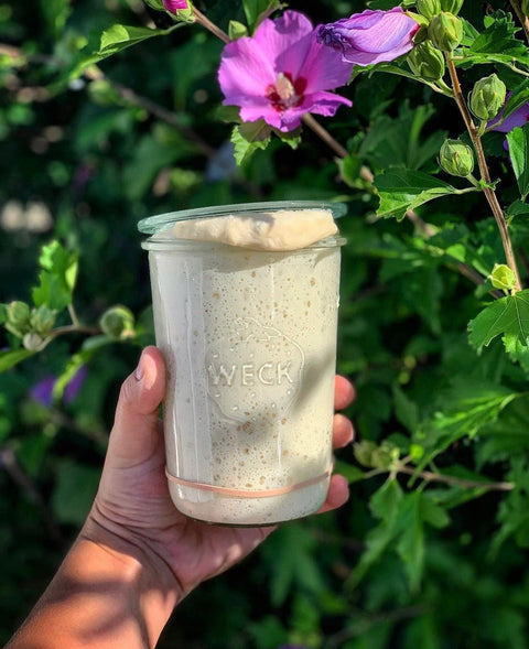 How To Master Your Sourdough Starter - Baking Steel ®