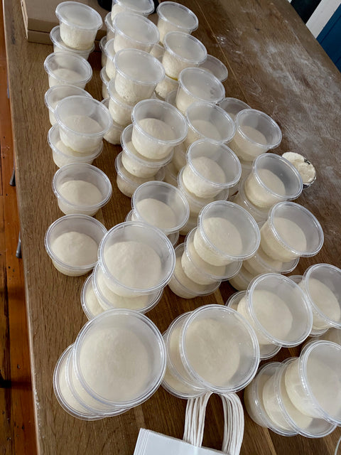 Over 100 pizza dough balls in deli containers lined up on a wood table in the Baking Steel test kitchen, ready for Friday pickup during Covid