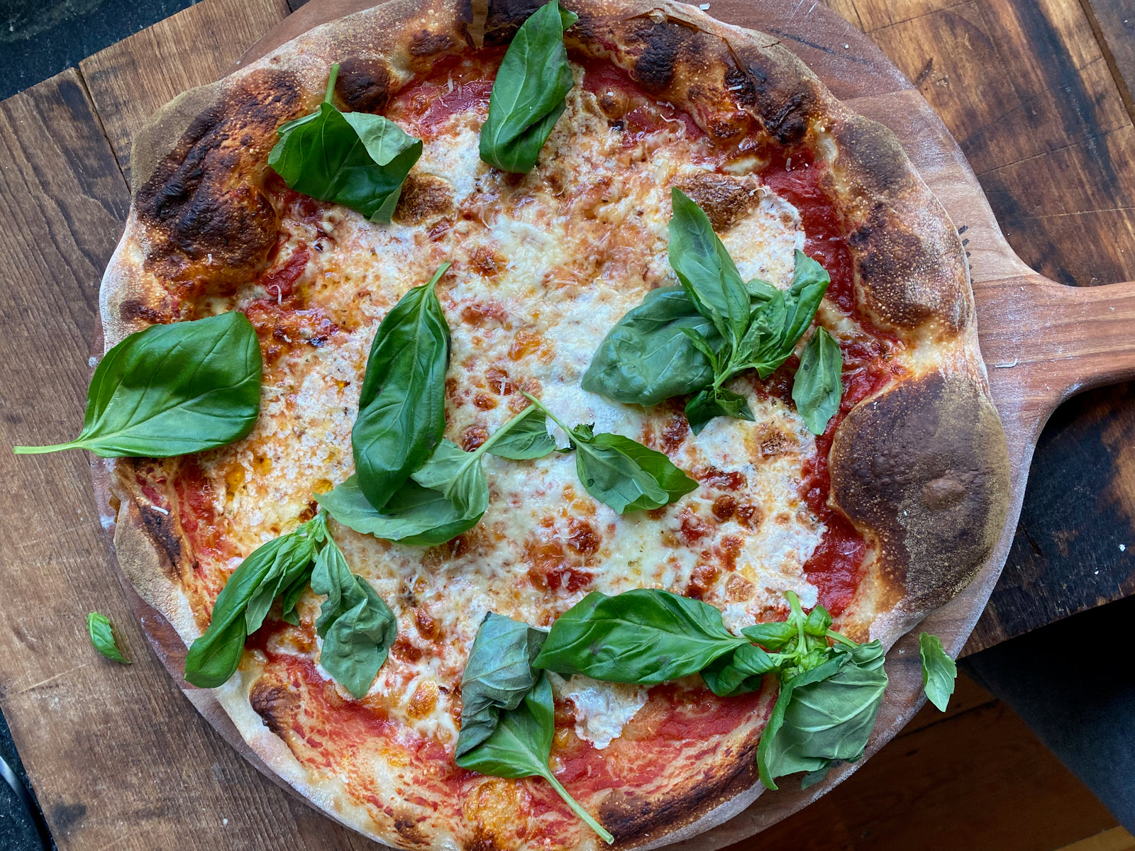 new york style cheese pizza with basil