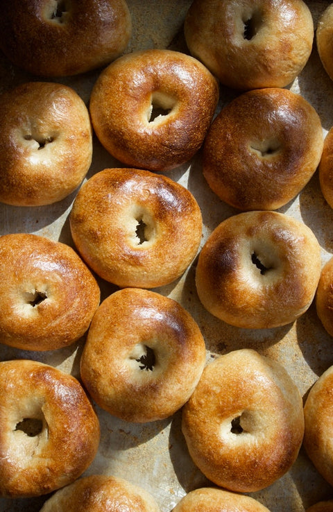 plain bagel fresh out of the oven