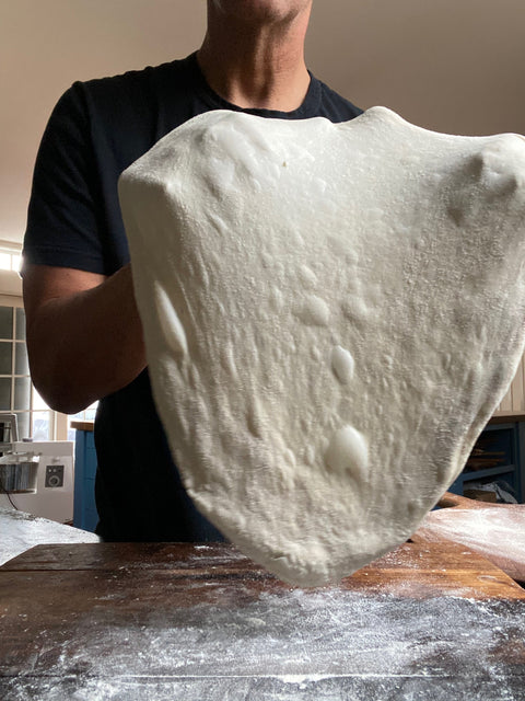 How to Make Easy 24-Hour Pizza Dough (Your Weeknight Secret Weapon) - Baking Steel ®