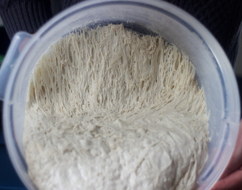 Overhead view of 72-hour pizza dough in a clear container after fermentation, pulled back to show a stretchy web of gluten strands and open air pockets
